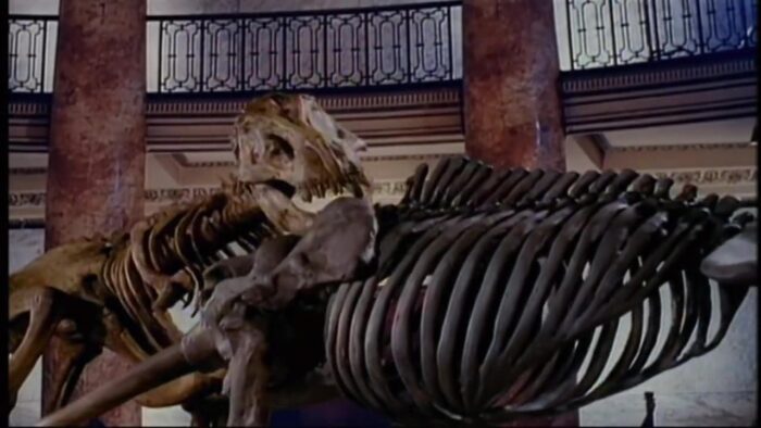 «Доктор Мордрид» (1992)