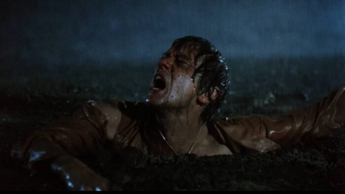 Обзор фильма ужасов «Зло»/The Evil 1978