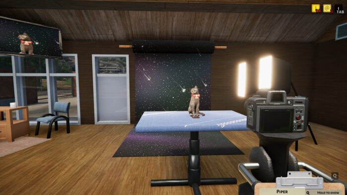 10 игр, похожих на Stray Animal Shelter/Приют для животных (2022)